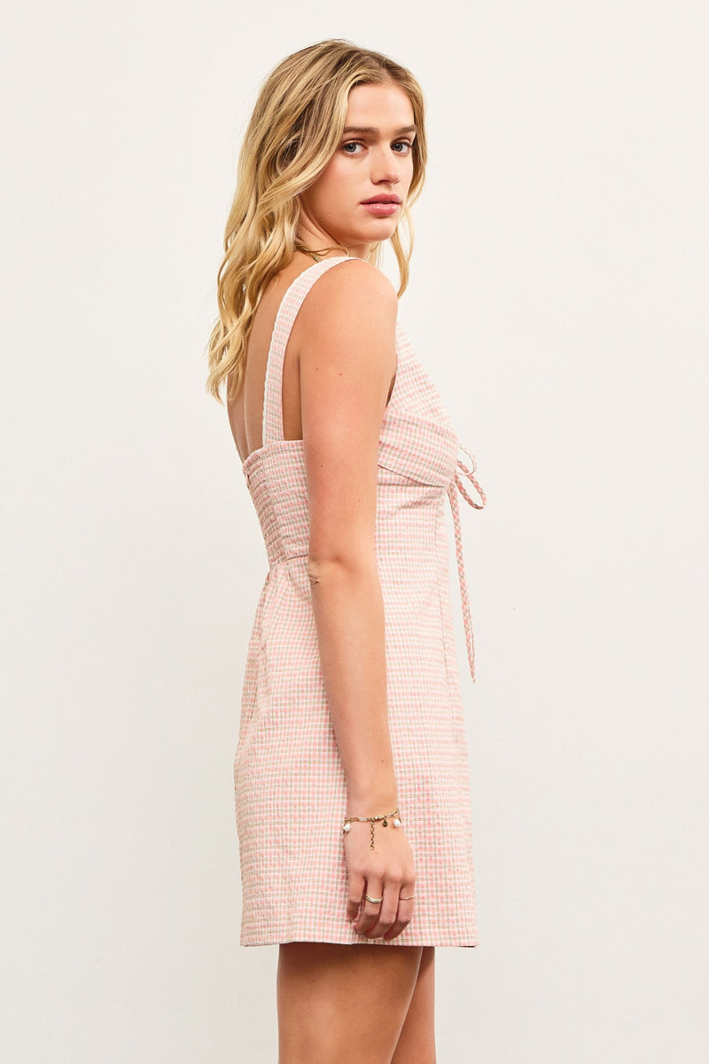 Sweet Spritz Gingham Print Sleeveless Shift Dress- Blush