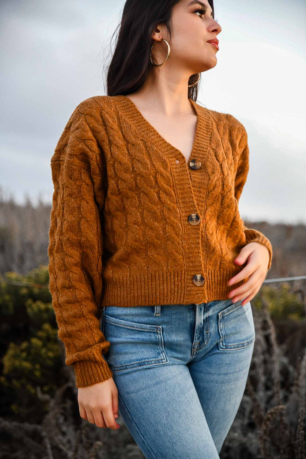 Hazelnut Hug Knitted Button Crop Cable Knit