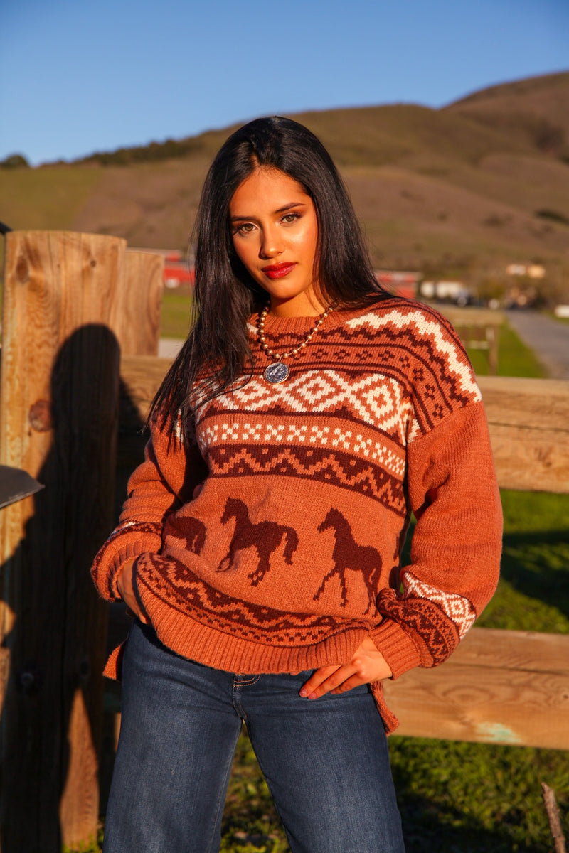 Copper Canyon Crew Neck Western Knit Sweater - Rust