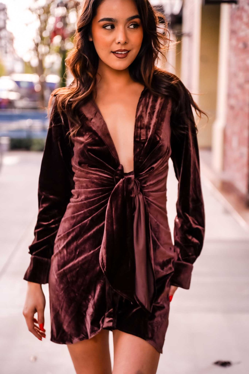 Hers & Mine Plunge Neck Velvet Dress - Chocolate