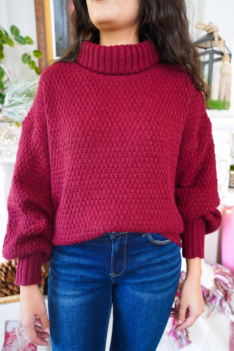 Holly Grove Textured Knit Turtleneck Sweater - Cranberry