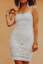 Celebrations Lace Dress - Nude/White